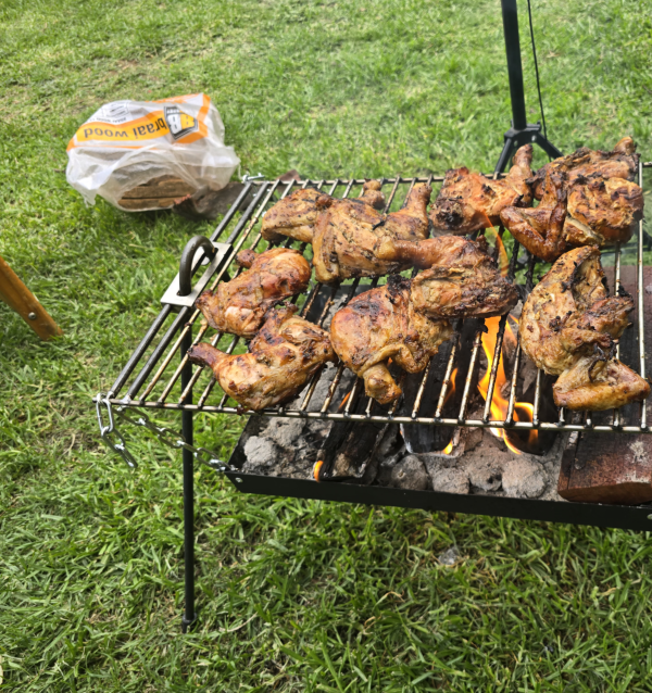 20251130_164426 Bush Baby Braai Stand